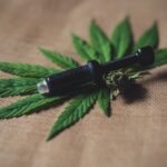 Top 20 “DELTA-8 CBD” Keywords To Target For Link Building
