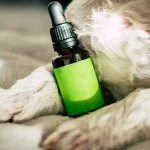 Top 20 “CBD Balm” Keywords To Target For Link Building