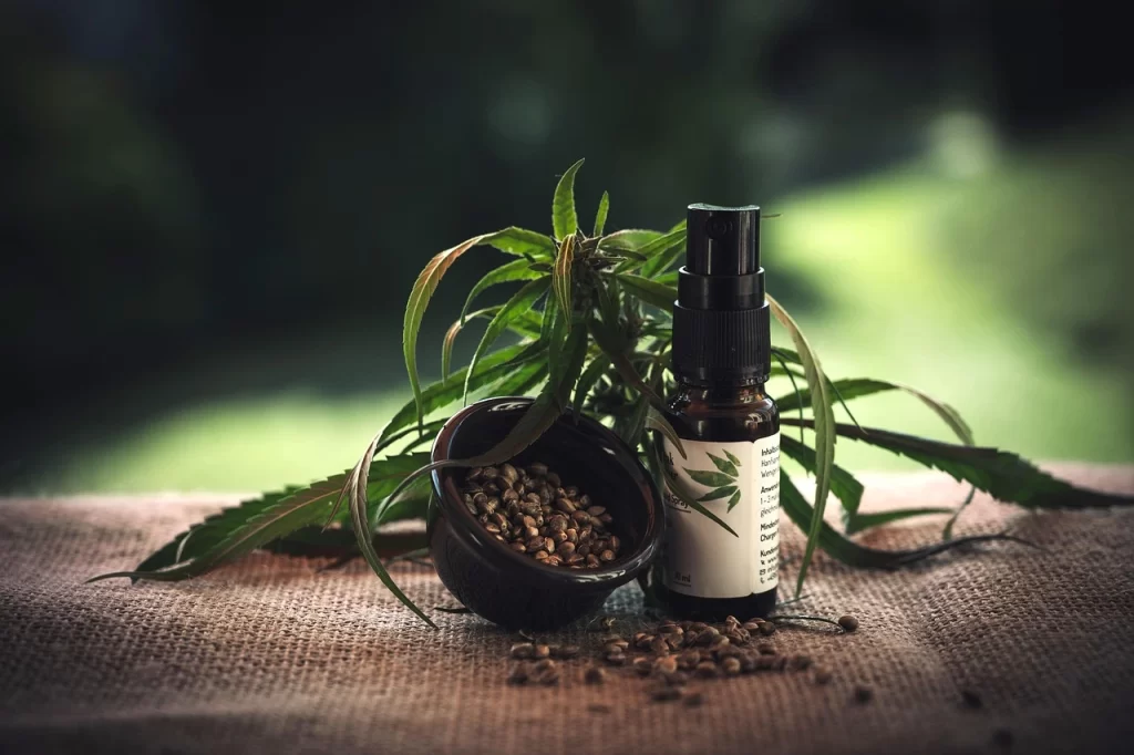 Top 20 “CBD Salve” Keywords To Target For Link Building