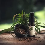 Top 20 “CBD Salve” Keywords To Target For Link Building